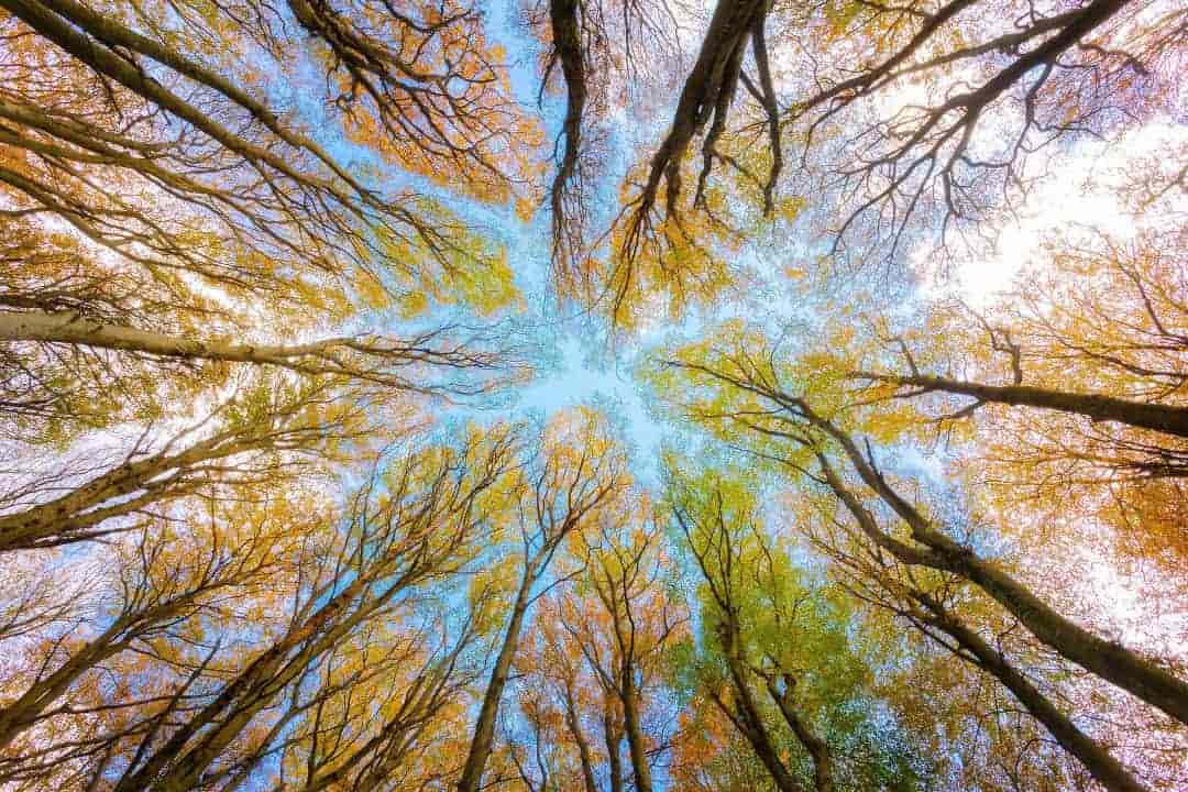 Sicurezza e Ambiente - mBmech Sicurezza e Ambiente - mBmech